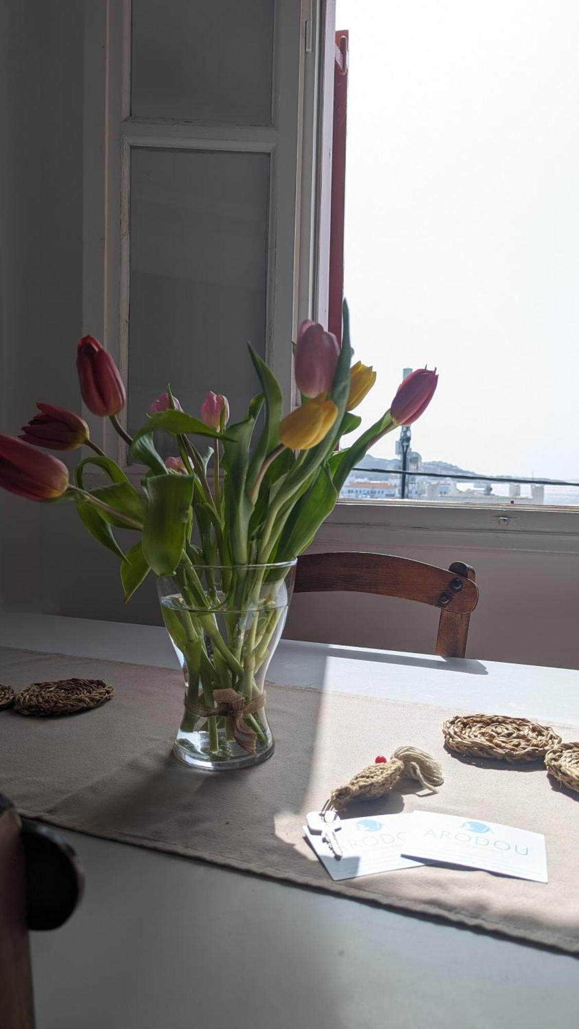 Arodou Studio And Apartment Mykonos Town Екстер'єр фото