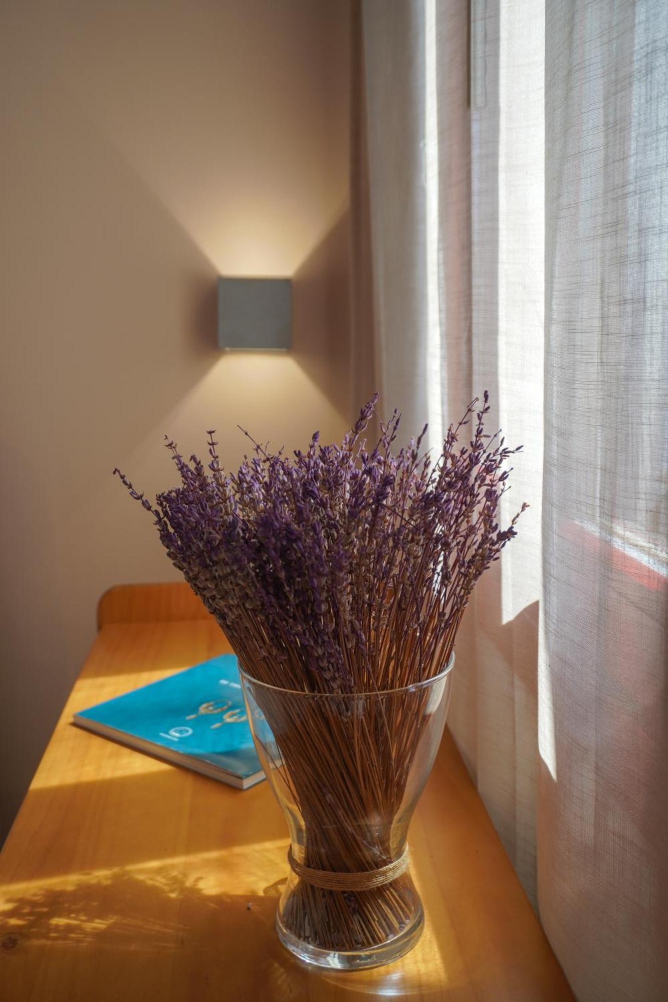Arodou Studio And Apartment Mykonos Town Екстер'єр фото